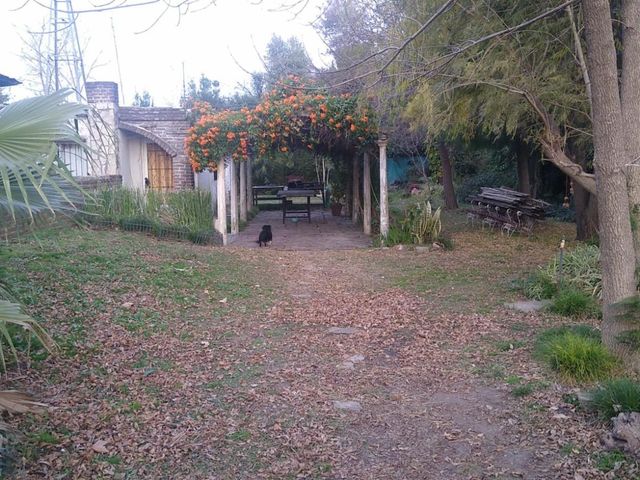 place photo 11