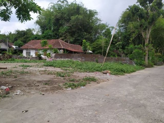 place photo 4