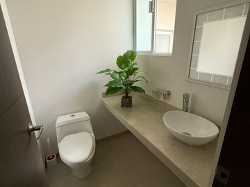 place photo 24