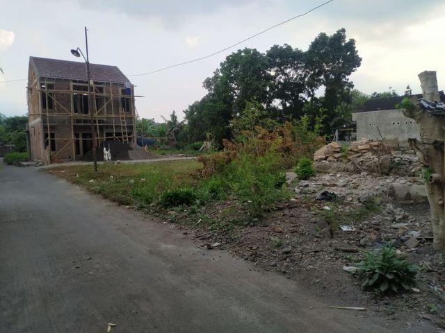 place photo 3