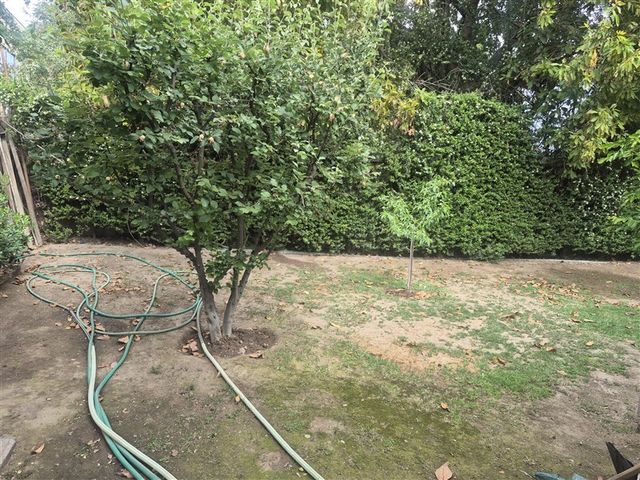 place photo 38