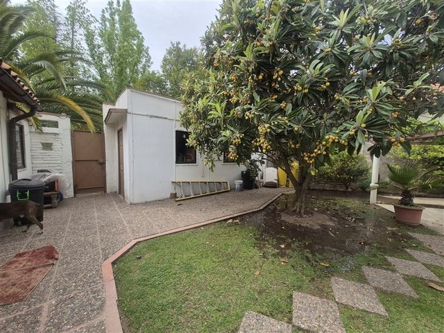 place photo 45