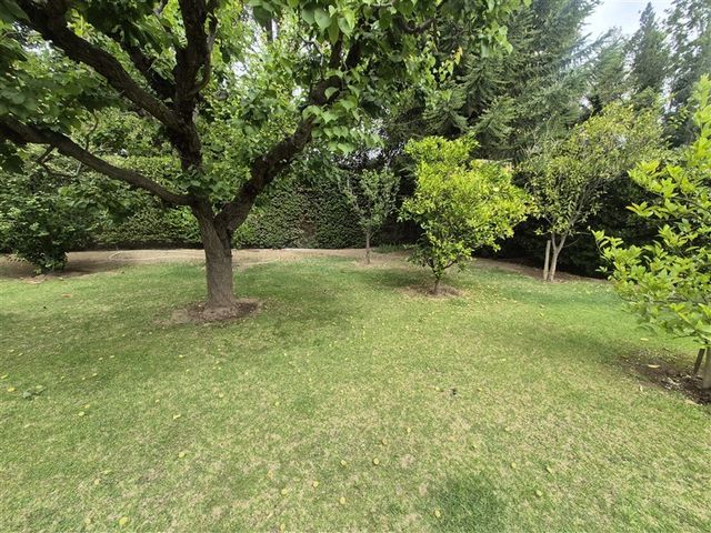 place photo 47