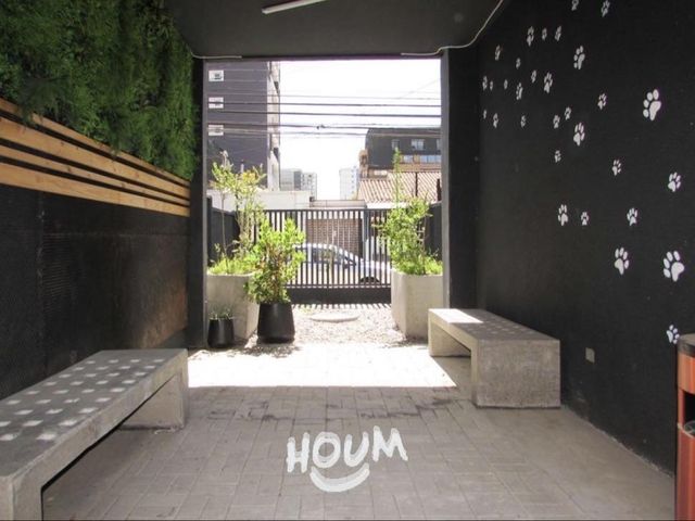 place photo 24