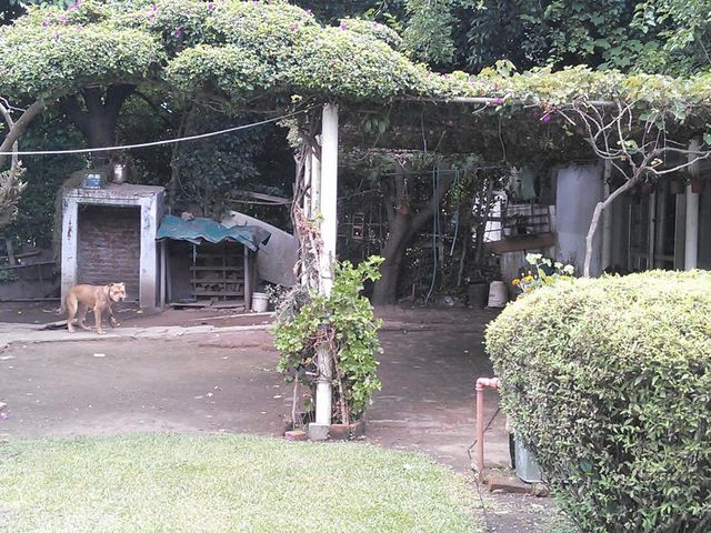 place photo 9