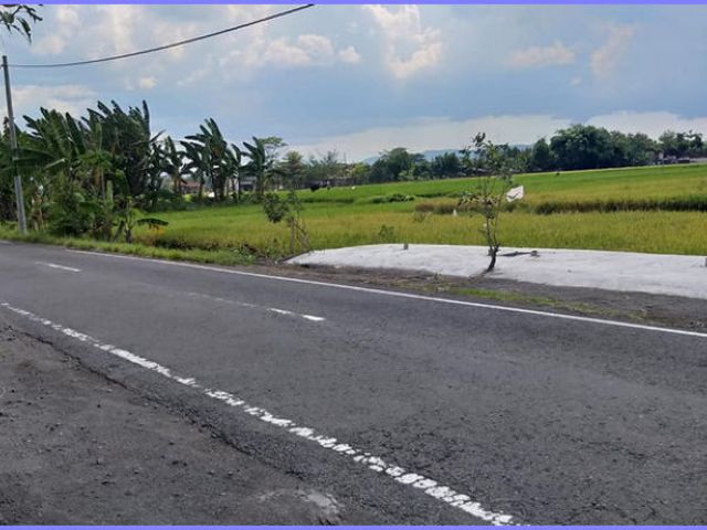 place photo 4