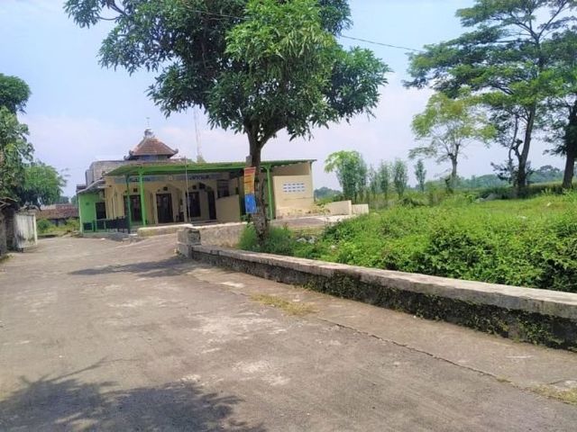 place photo 5