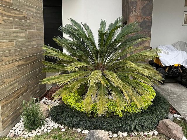 place photo 25