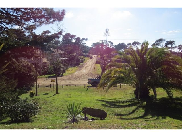 place photo 27