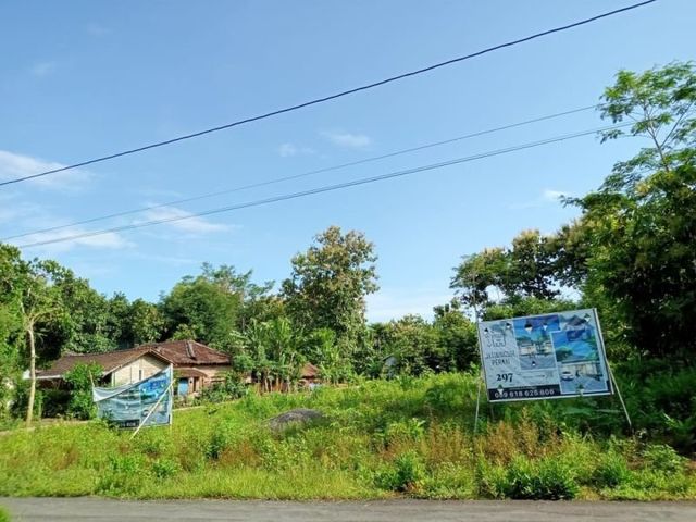 place photo 7