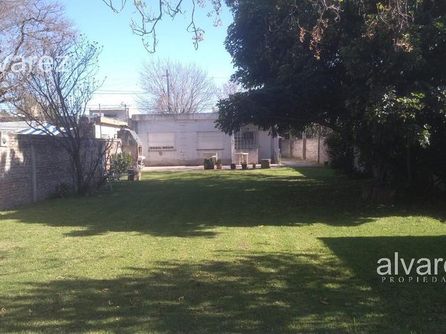 place photo 17