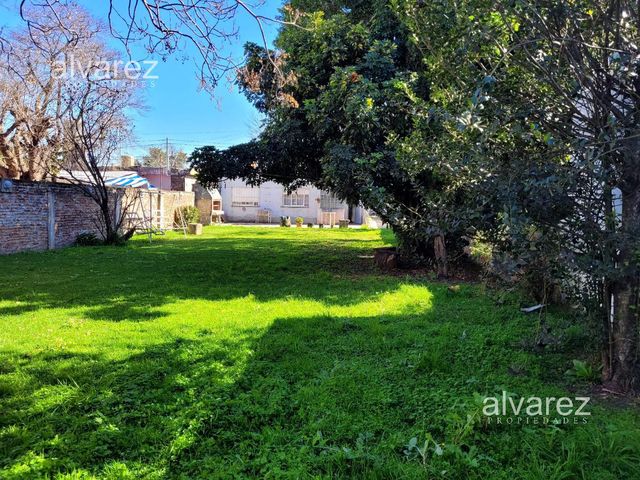 place photo 14
