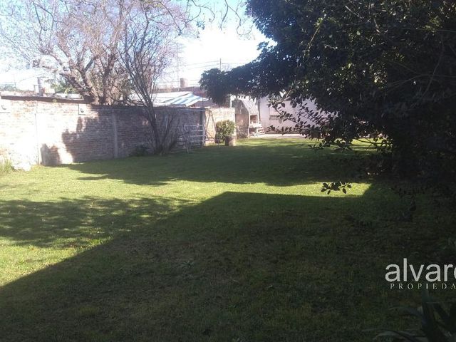 place photo 18