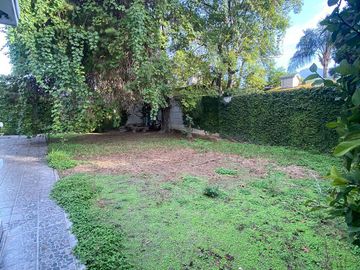 place photo 22