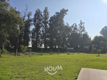 place photo 52