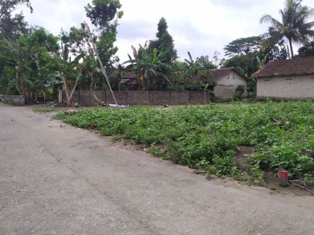 place photo 4