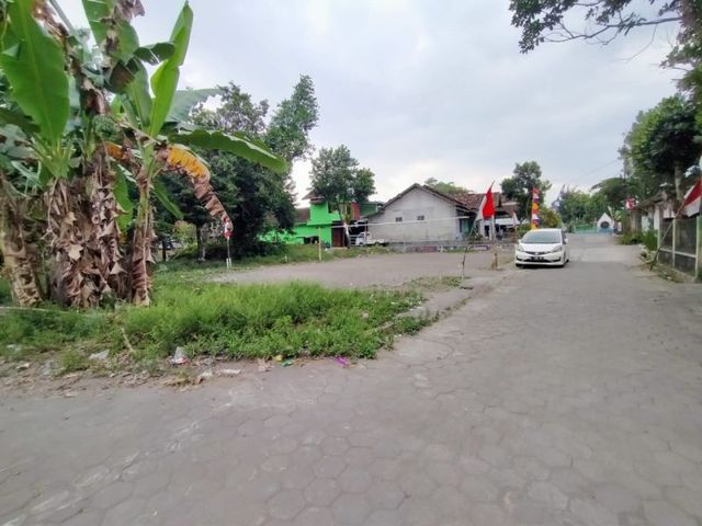 place photo 5