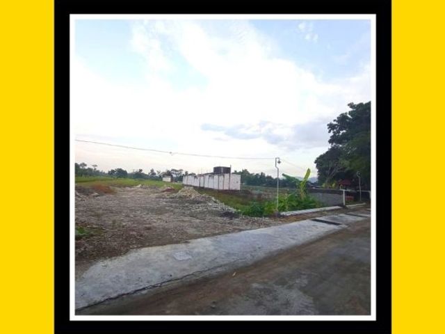 place photo 6