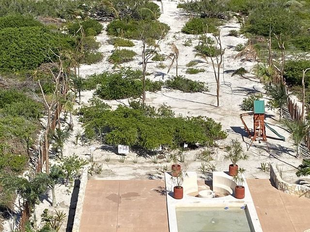 place photo 26