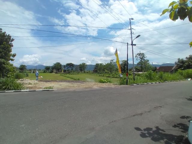 place photo 3