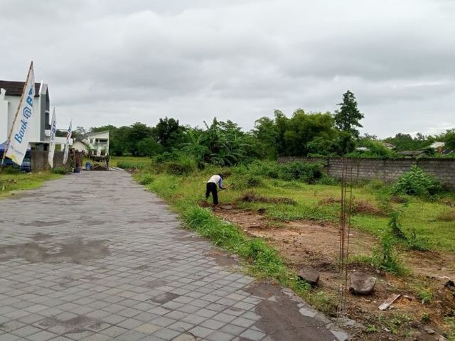 place photo 6