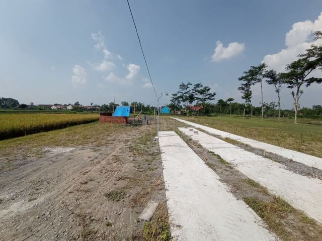 place photo 6