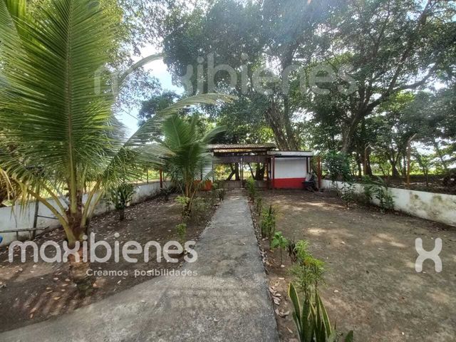 place photo 20