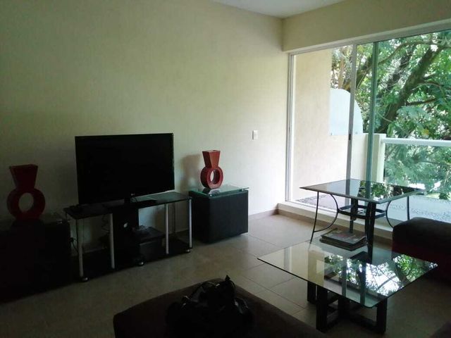 place photo 37