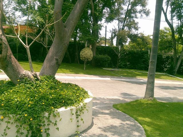 place photo 38