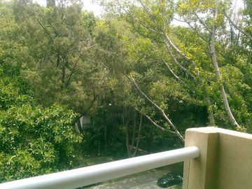 place photo 41