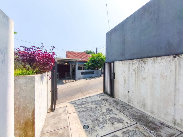 place photo 24