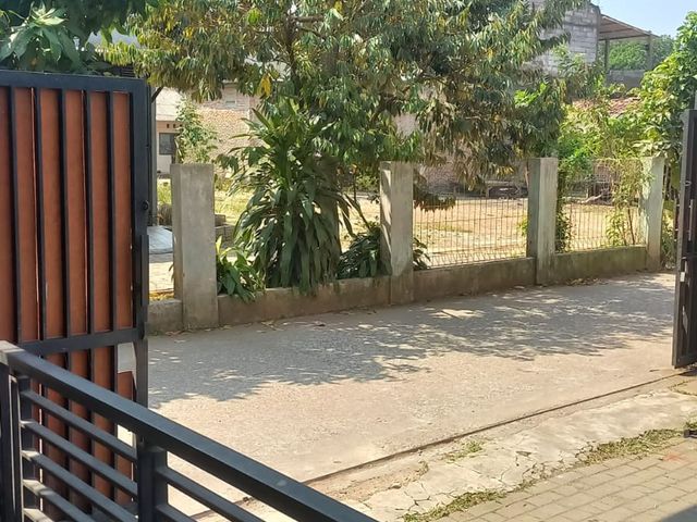 place photo 11