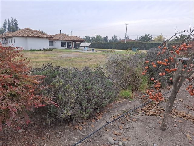 place photo 38
