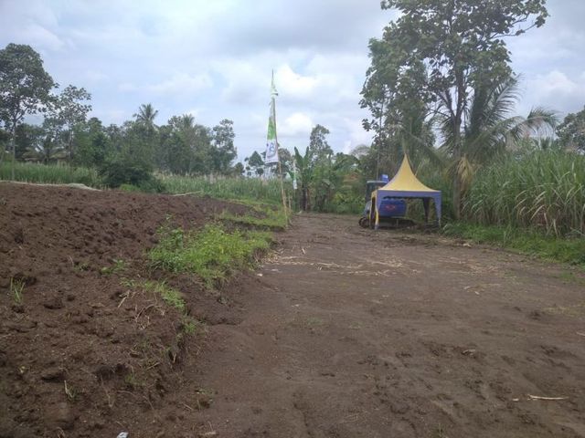 place photo 3