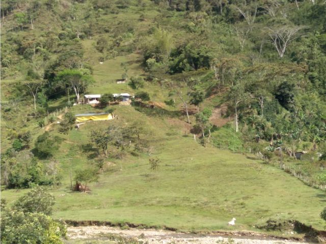 EXCELENTE FINCA EN EL MUNICIPIO DE ALEJNDRA