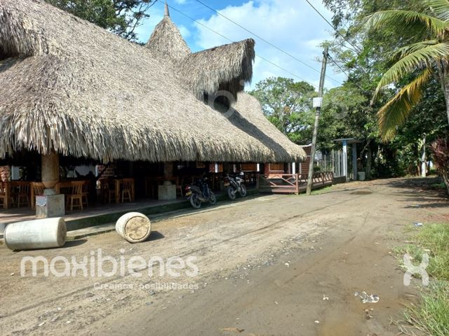 place photo 22