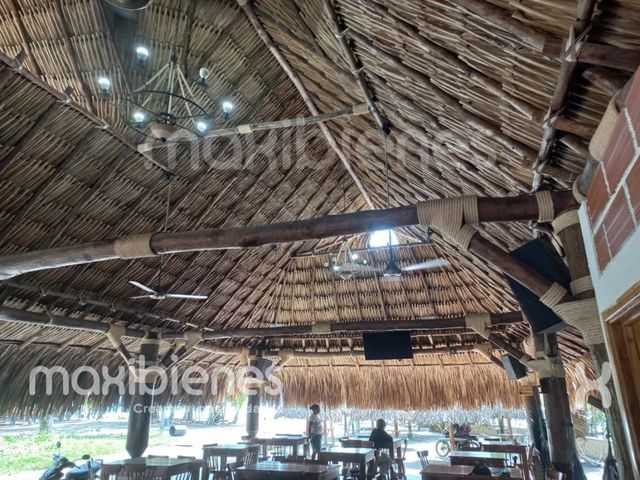 place photo 16