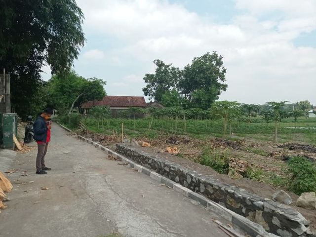 place photo 7