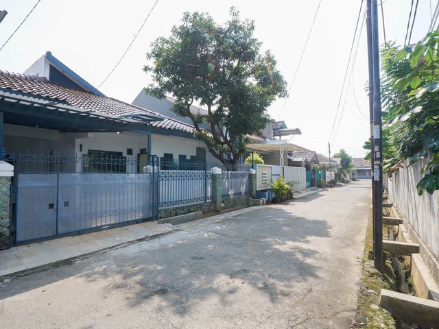 place photo 42