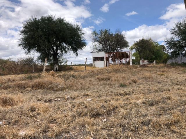 place photo 14