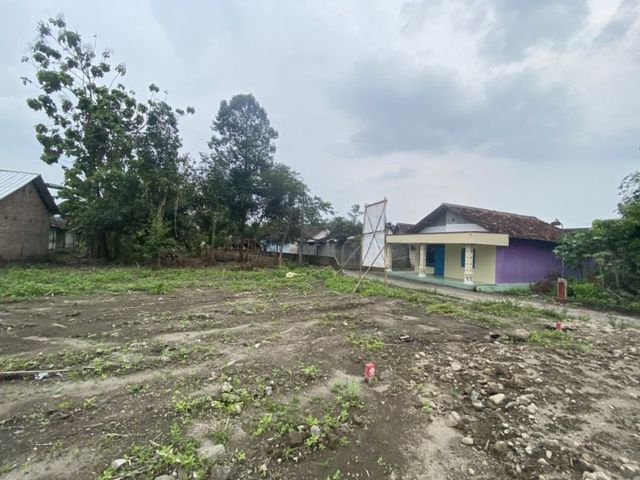 place photo 7