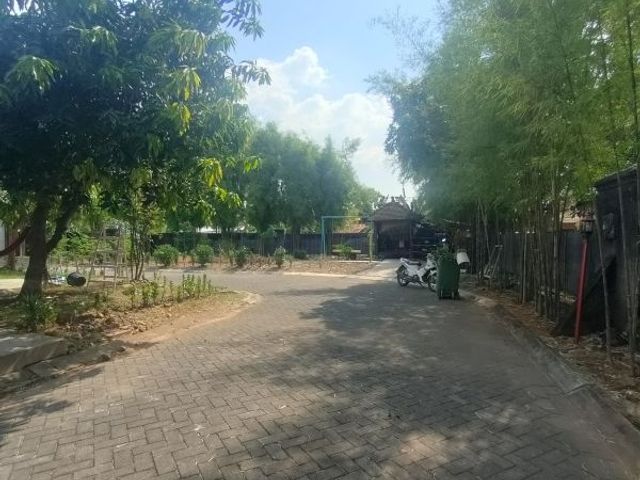 place photo 2