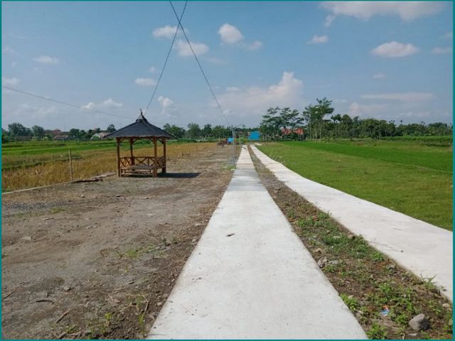 place photo 4