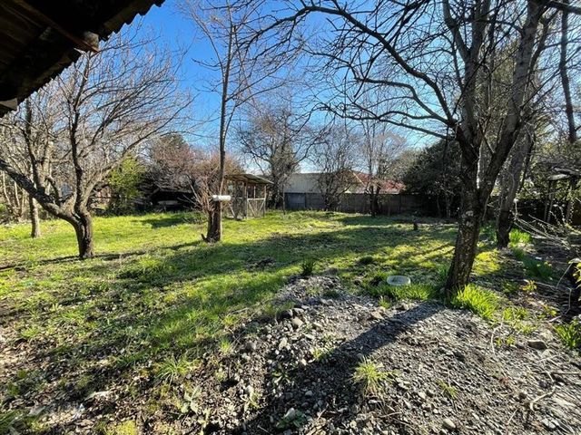 place photo 19
