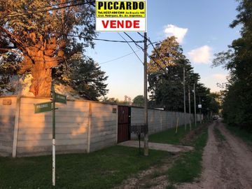 place photo 27