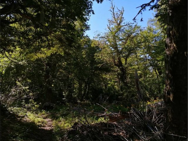 place photo 20