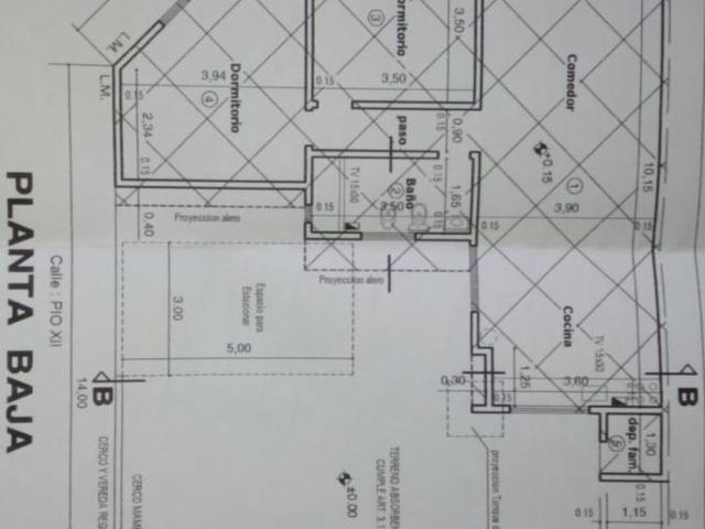 place photo 12