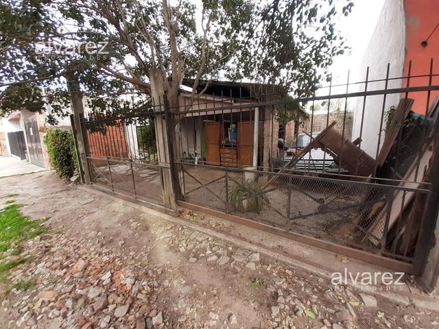 place photo 13