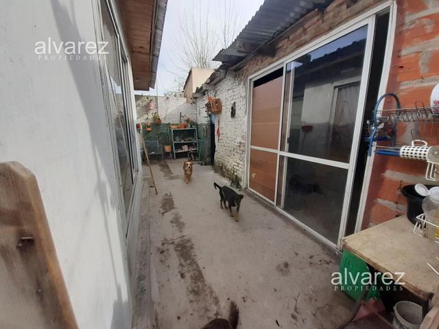 place photo 17