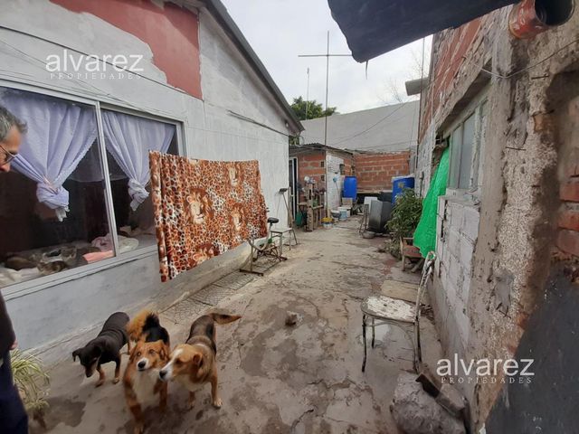 place photo 15